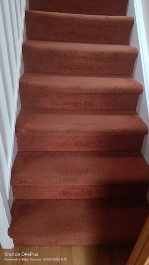 Stairs Carpet