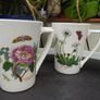 6 Vintage Portmeirion (Botanic Garden) Large Mugs Image 5