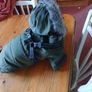Dog coat. Image 6