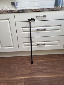 Walking stick telescopic