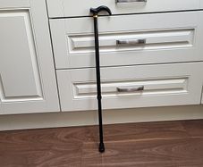 Walking stick telescopic