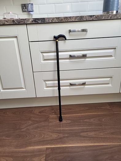 Walking stick telescopic