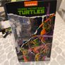 Turtles Image 2