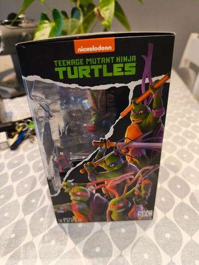 Turtles