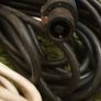 Speaker Cables Image 2