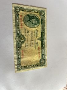 irish pound