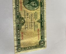 irish pound