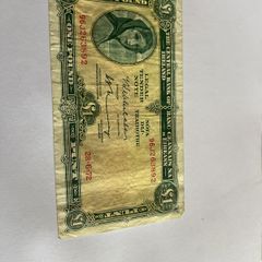 irish pound