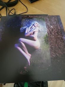 The pretty reckless death by rock and roll 2 vinyl one side etched