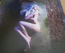 The pretty reckless death by rock and roll 2 vinyl one side etched