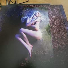The pretty reckless death by rock and roll 2 vinyl one side etched
