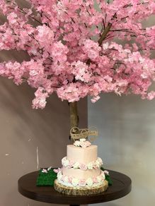 Cherry blossom tree