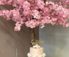 Cherry blossom tree