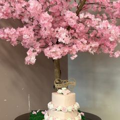 Cherry blossom tree