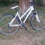 Bicycle Image 2