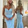 Debs Dress Image 4