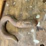vintage iron hook Image 6