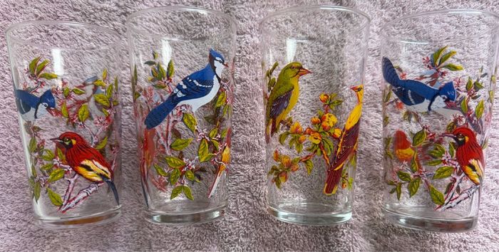 Vintage Set of 1960's Arcoroc Luminarc Exotic Bird Tumblers