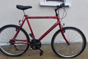 Raleigh retro bike