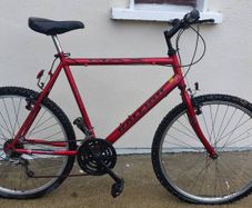 Raleigh retro bike