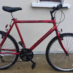 Raleigh retro bike