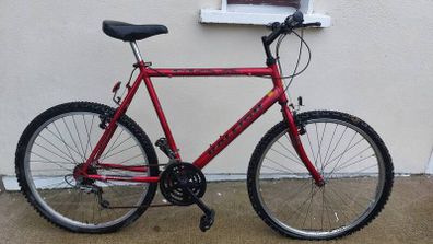 Raleigh retro bike