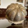 Antique Indian brass Planter Pumpkin Lotus Shape Image 3