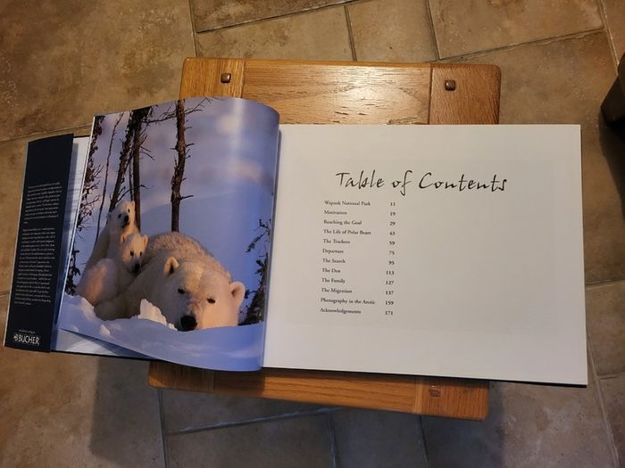 Little Polar Bears by Thorsten Milse.