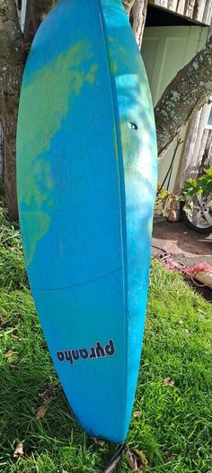 Kayak