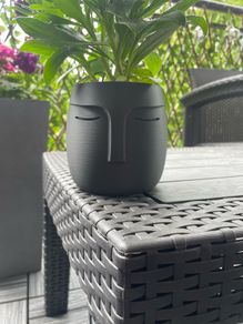 Nordic Face Pot Plater