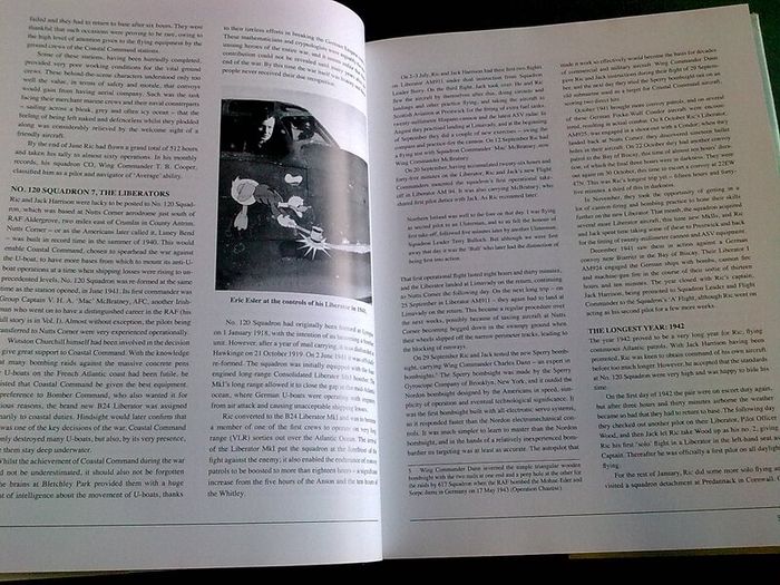 Ireland's aviator heroes of World War 2 Volume 2 Ireland Irish history RAF