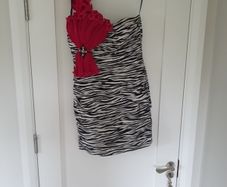occasion dress