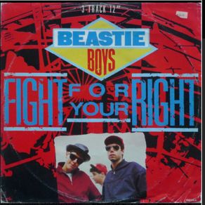 Beastie Boys. Rare fight for your right to party 12 inch picture sleeve in great condition