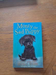 Monty the sad puppy