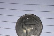 Irish Punt Coin 1995