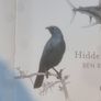 Ben Rothery Hidden Planet Image 3