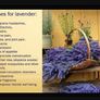 3in1 Aromatherapy Set - excellent gift Image 2