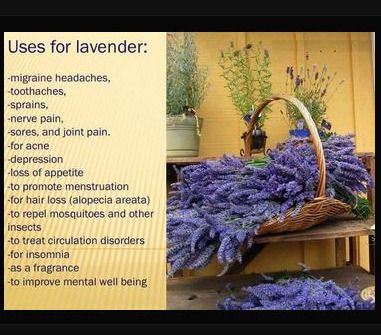 3in1 Aromatherapy Set - excellent gift