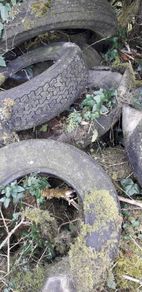 Old tyres - free
