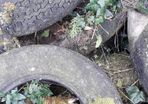 Old tyres - free
