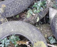 Old tyres - free
