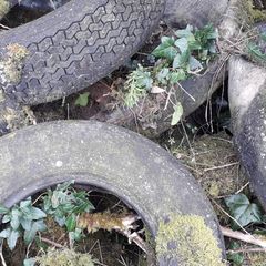 Old tyres - free