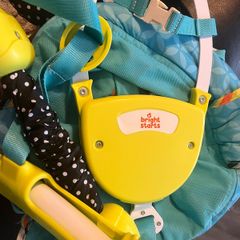 bright starts baby door swing