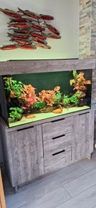 fish tank