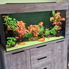 fish tank