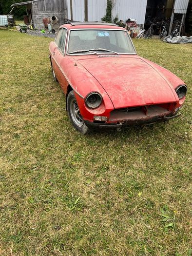 Mg Bgt