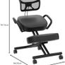 DRAGONN DN-CH Kneeling Chair, Metal, Black, One Size Fits All Image 2