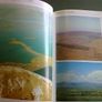 Reading the Irish landscape Ireland Archaeology History Geology Image 4