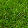 Artificial Grass 1x15 m/40 mm Green Image 2
