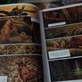 Thorinth: The Fool With No Name ! Hardcover ! 2003 ! by Humanoids ! Image 10